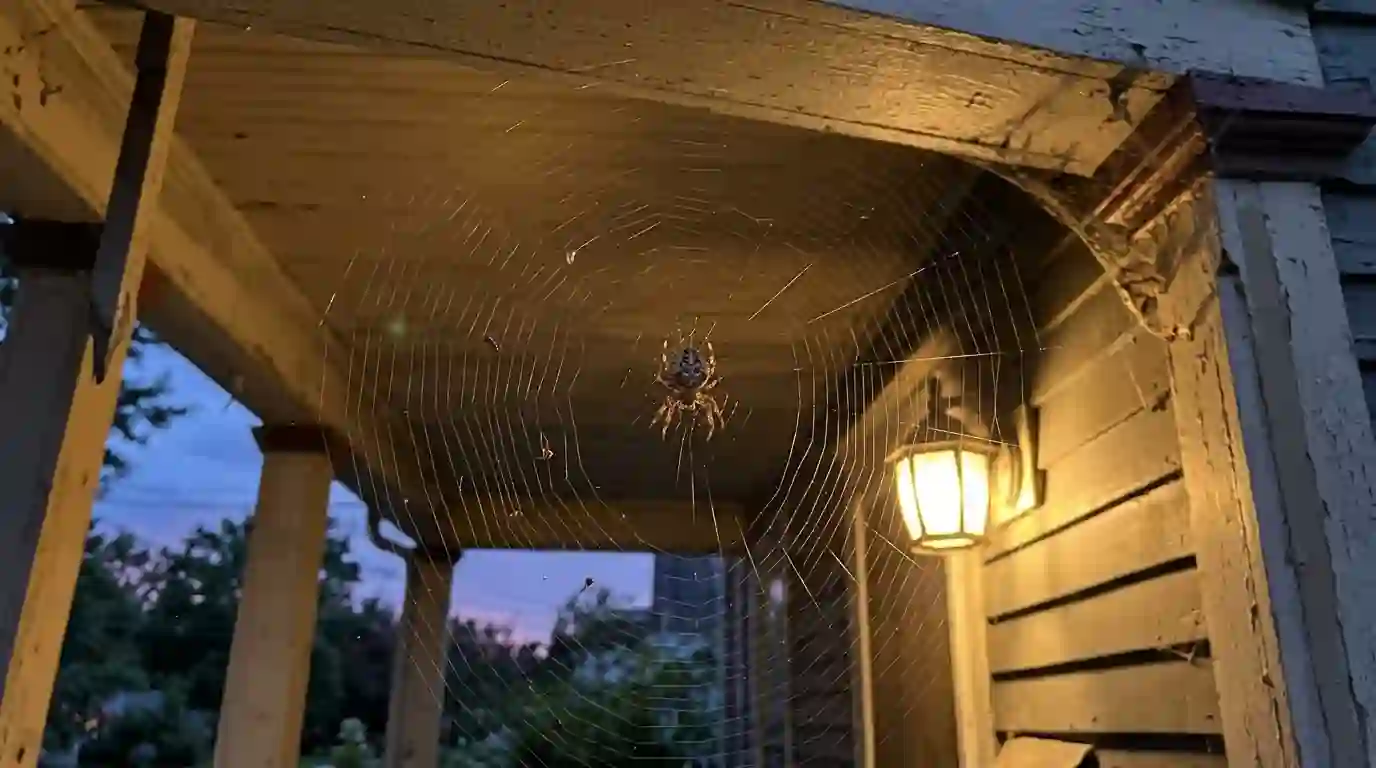 Orb weaver web at a lit porch corner in the evening